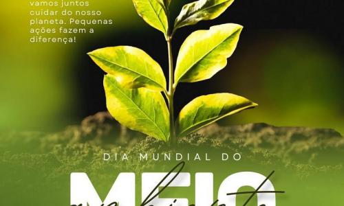 Dia Mundial do Meio Ambiente Dia Mundial do Meio Ambiente